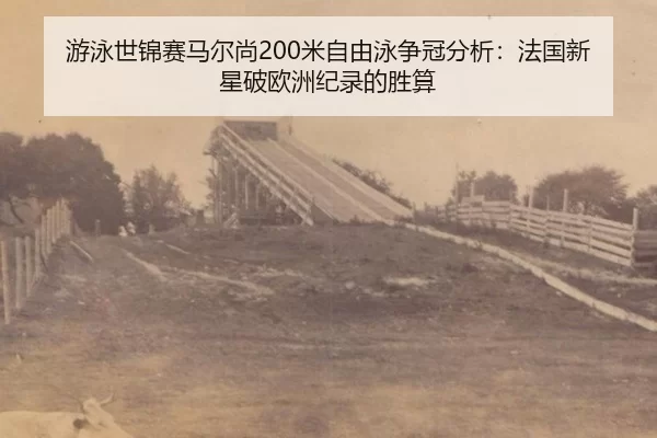 you-yong-shi-jin-sai-ma-er-shang-mi-zi-you-yong-zheng-guan-fen-xi-fa-guo-xin-xing-po-ou-zhou-ji-lu-de-sheng-suan-3-256.jpg